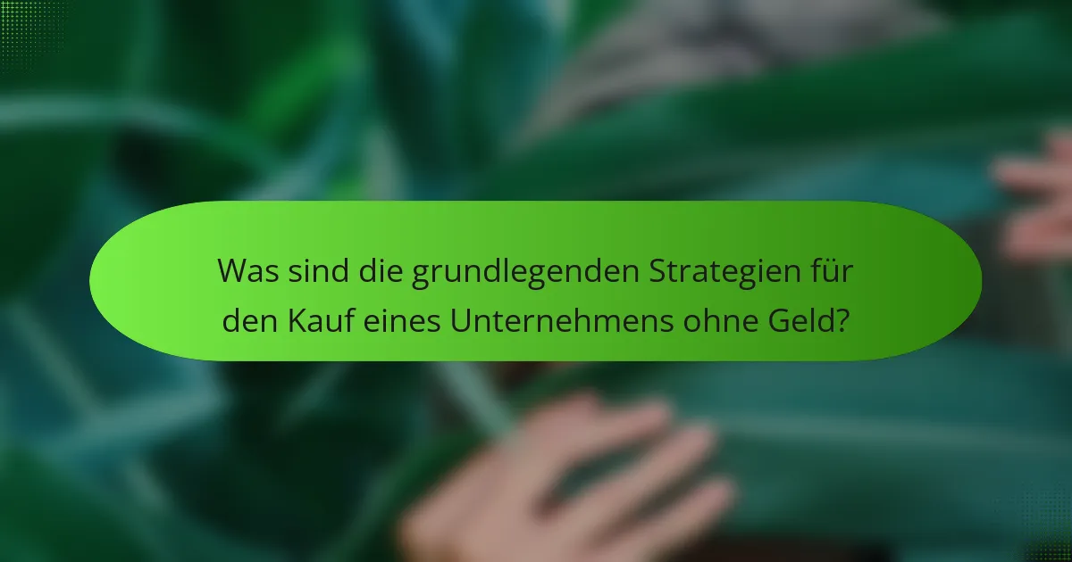 Was sind die grundlegenden Strategien für den Kauf eines Unternehmens ohne Geld?