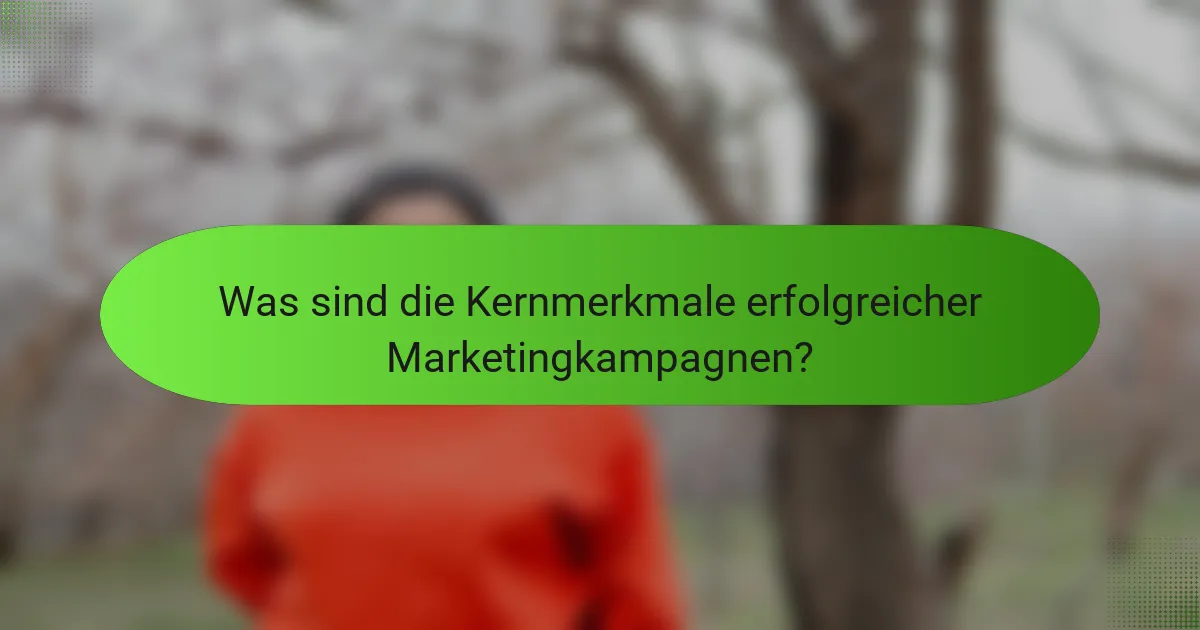 Was sind die Kernmerkmale erfolgreicher Marketingkampagnen?