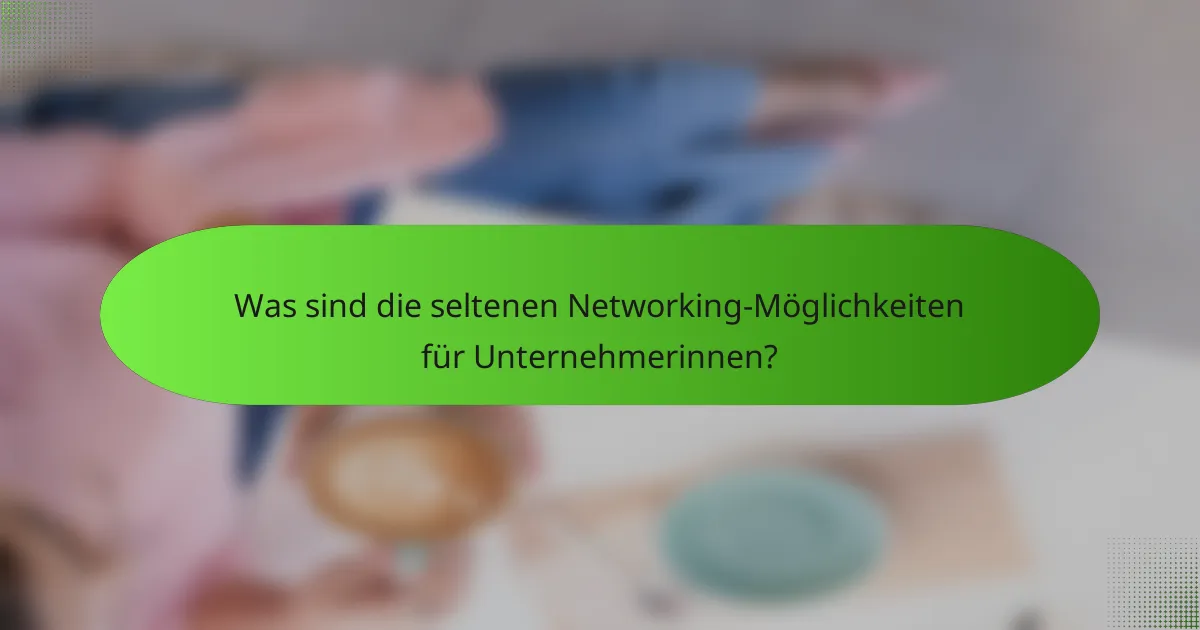 Was sind die seltenen Networking-Möglichkeiten für Unternehmerinnen?