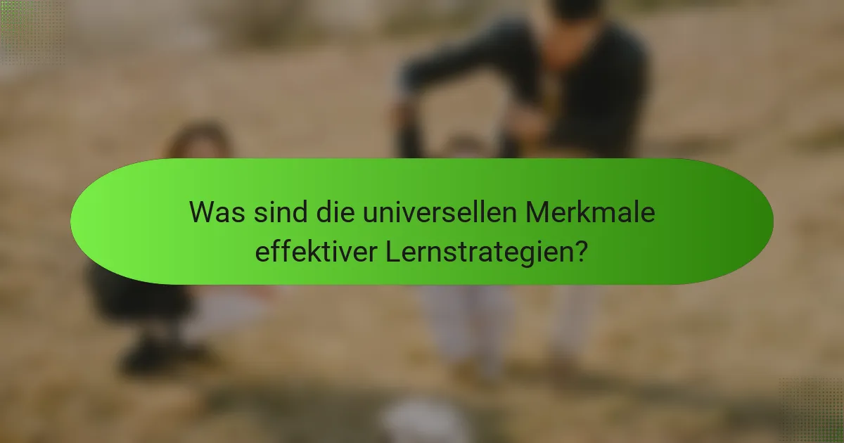 Was sind die universellen Merkmale effektiver Lernstrategien?