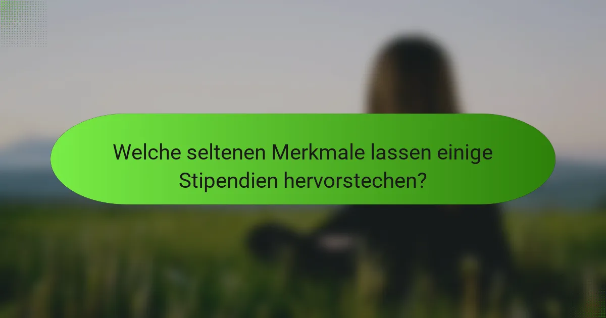 Welche seltenen Merkmale lassen einige Stipendien hervorstechen?